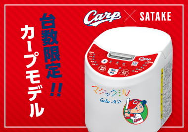 ギャバミル・カープモデル