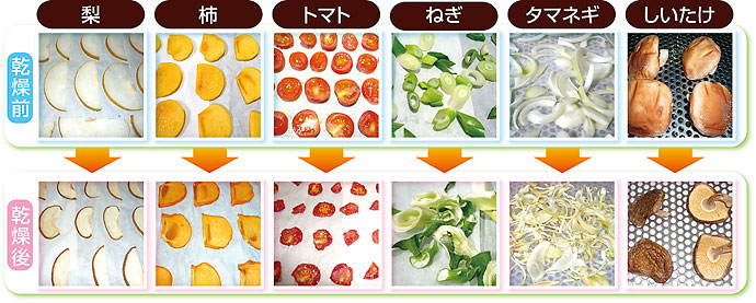 野菜・果物等の乾燥例